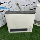 بخاری برقی گازی 4000 کالری شهری مدل نوریتز